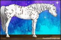 Horse Color:White Spotted Liver Chestnut Varnish 