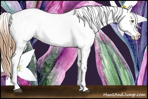 Horse Color:Brown Pearl Snowcap Rabicano