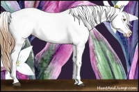 Horse Color:Brown Pearl Appaloosa Rabicano 