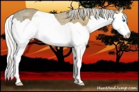 Horse Color:Silver Buckskin Ice Splash 