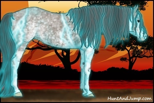 Horse Color:Thunderstruck White Spotted Grullo 