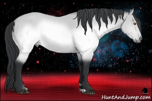 Horse Color:Brown Chinchilla 