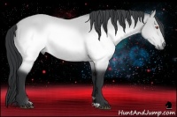 Horse Color:Brown Chinchilla 