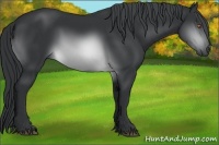 Horse Color:Brown Chinchilla