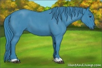 Horse Color:Watercolor Blue Roan