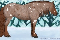 Horse Color:White Spotted Red Roan Rabicano