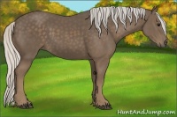 Horse Color:Silver Smoky Black 