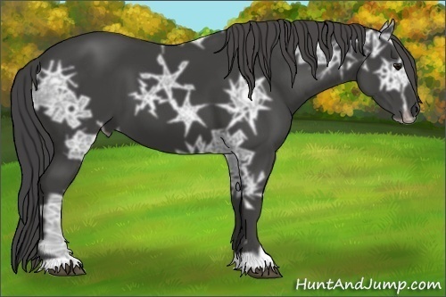 Horse Color:Smoky Black Ice 