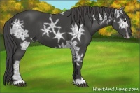 Horse Color:Smoky Black Ice