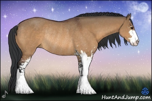 Horse Color:Bay Dun Sabino Rabicano