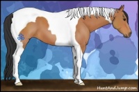 Horse Color:Bay Tobiano