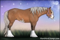 Horse Color:Silver Bay Sabino