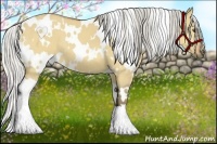 Horse Color:White Spotted Silver Buckskin Dun 