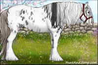 Horse Color:White Spotted Smoky Black Tobiano Blanket 