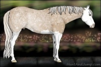 Horse Color:Silver Buckskin Ice Roan Splash 