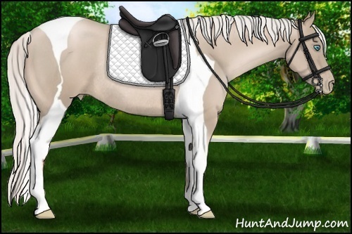Horse Color:Silver Smoky Black Pearl Tobiano Rabicano 