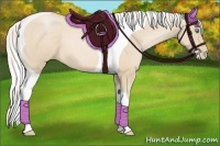 Horse Color:Silver Buckskin Pearl Tobiano