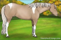 Horse Color:Silver Black Pearl Tobiano 
