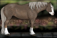 Horse Color:Chocolate Palomino Splash