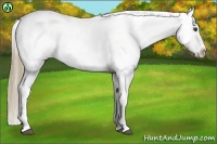 Horse Color:Chestnut Tobiano Blanket 
