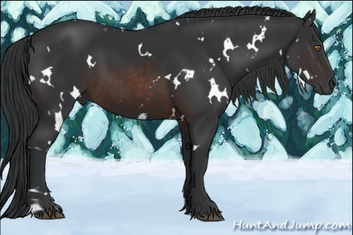 Horse Color:White Spotted Brown 