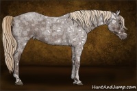 Horse Color:Liver Red Ice Roan 