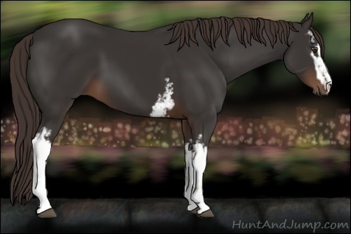 Horse Color:White Spotted Liver Chestnut Sabino 