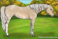 Horse Color:Silver Buckskin Ice 
