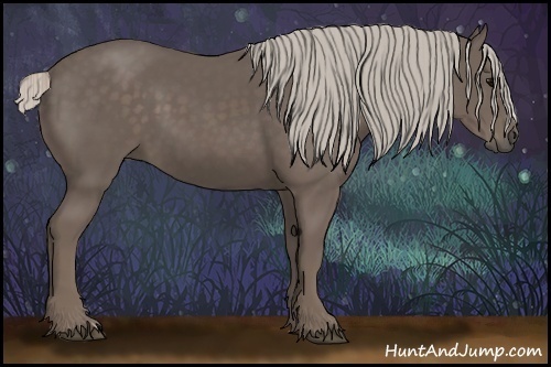 Horse Color:Silver Black