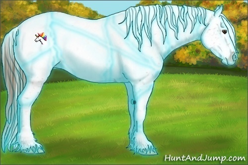 Horse Color:Thunderstruck Chestnut Appaloosa 