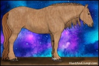 Horse Color:Chestnut  Brindle