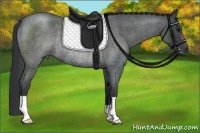 Horse Color:Blue Roan Rabicano