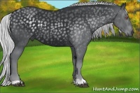 Horse Color:Silver Black Chinchilla