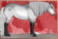 Horse Color:Silver Bay Chinchilla Frame 