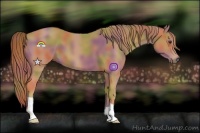 Horse Color:Nacre Chestnut 