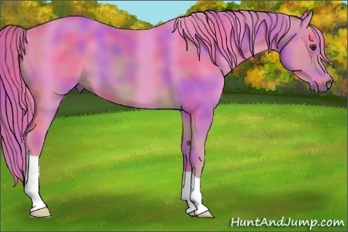 Horse Color:Nacre Watercolor Chestnut