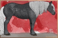 Horse Color:Silver Black Chinchilla 