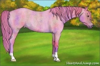 Horse Color:Nacre Watercolor Red Roan 