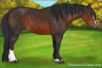 Horse Color:Brown Sabino
