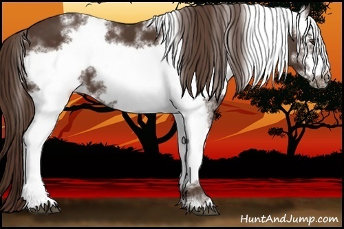 Horse Color:White Spotted Liver Chestnut Frame