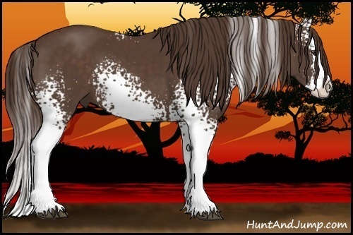 Horse Color:White Spotted Liver Chestnut Splash 