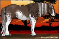 Horse Color:White Spotted Liver Chestnut Splash 