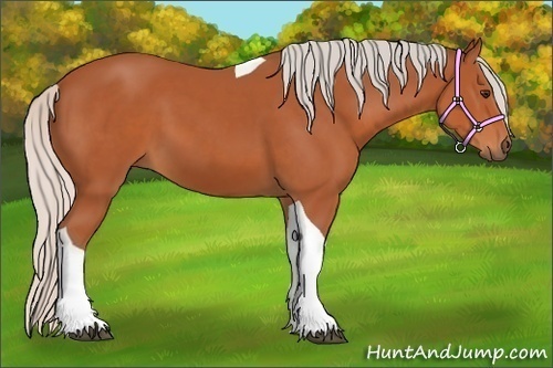 Horse Color:Silver Bay Tobiano 