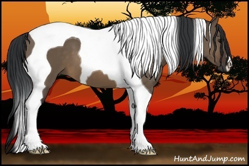 Horse Color:Brown Dun Tobiano 