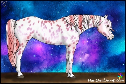 Horse Color:Watercolor Red Onyx Appaloosa 