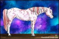 Horse Color:Watercolor Red Onyx Appaloosa