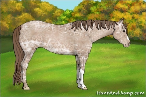 Horse Color:Black Ice Pearl 