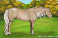Horse Color:Silver Black Pearl Sabino