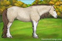 Horse Color:Grullo Ice Pearl Sabino 