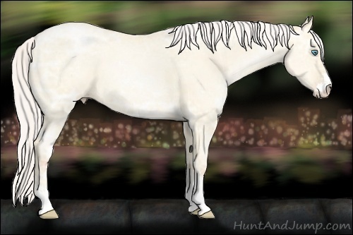 Horse Color:Silver Classic Cream Champagne Ice Pearl Dun Sabino